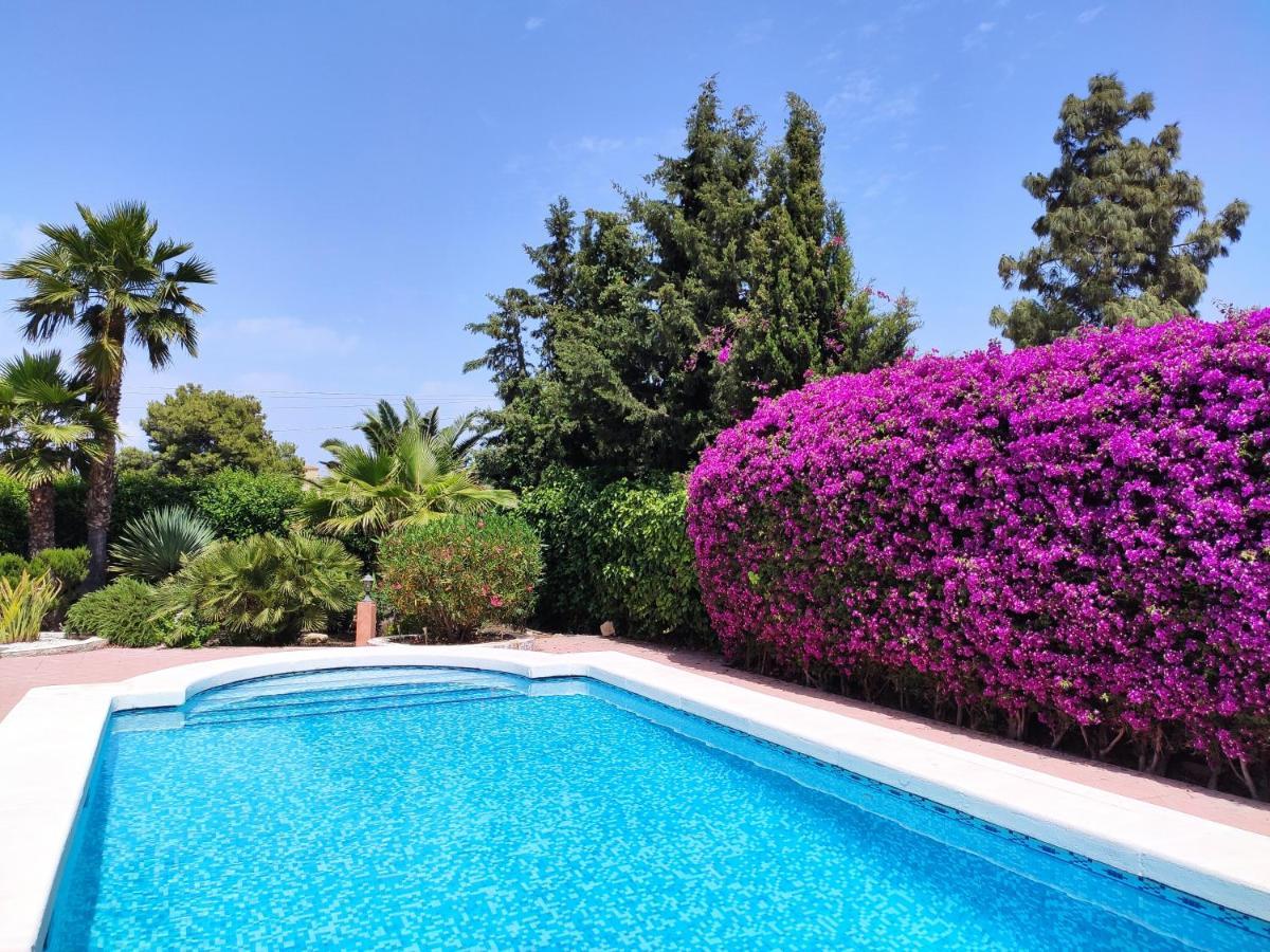 Villa With Private Pool, Bbq, Fitness Center & Sauna San Vicente Raspeig Exterior photo